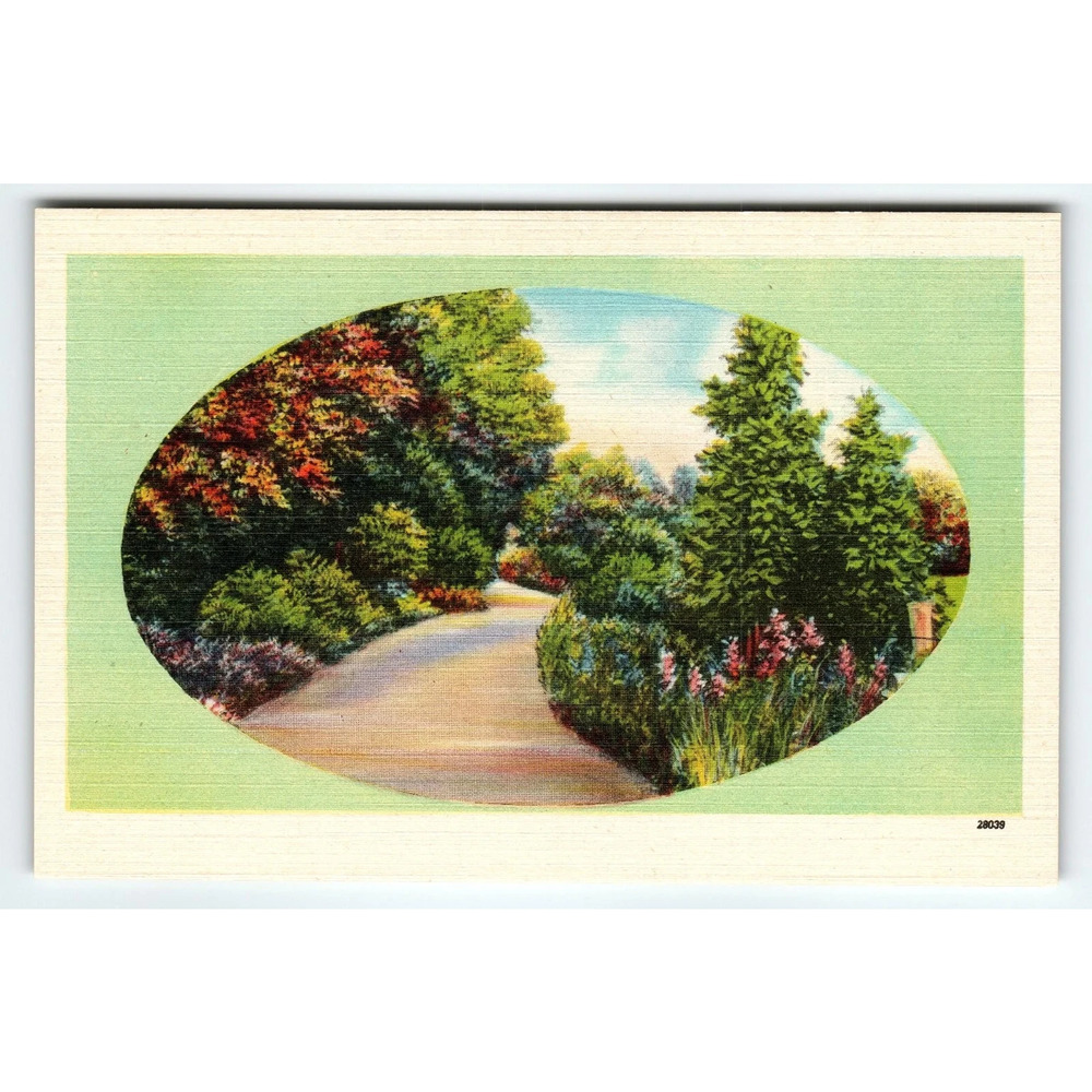Vintage Linen Postcard Scenic Garden Pathway Asheville NC 1930s